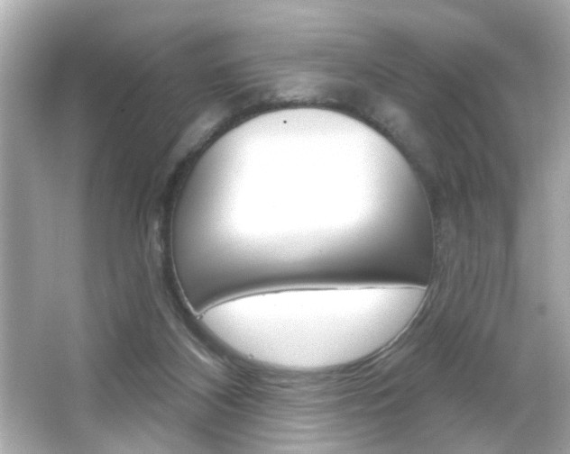 X0000066490116200603170934