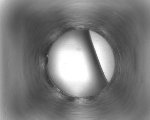 X0000066490125200603170934