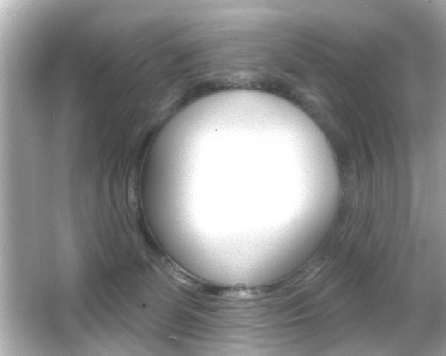 X0000066490131200603170934