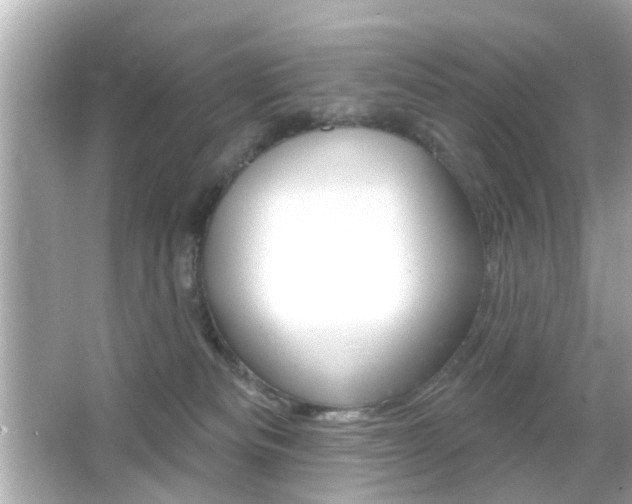 X0000066490133200603170934