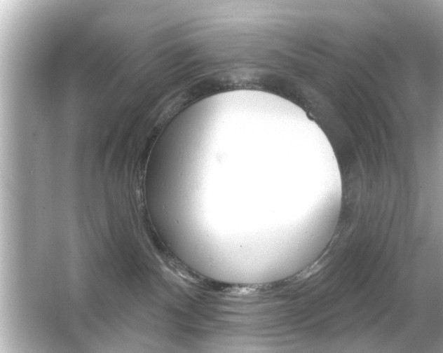 X0000066490140200603170933
