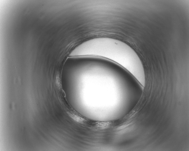 X0000066490143200603170933