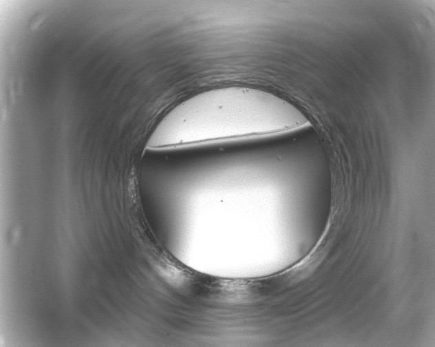 X0000066490144200603170933