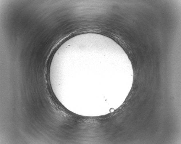 X0000066490146200603170933