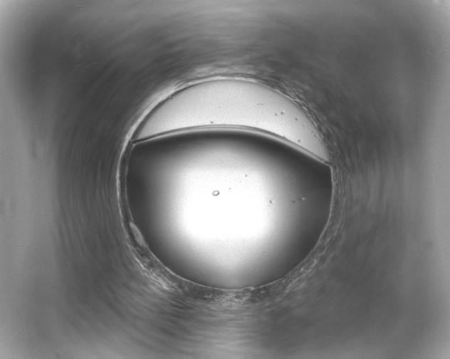 X0000066490148200603170933
