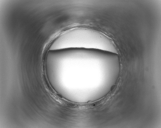 X0000066490149200603170933