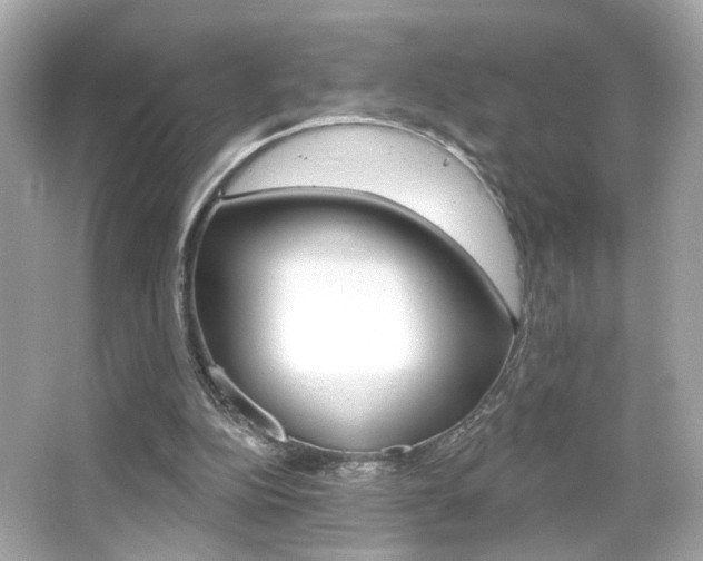 X0000066490152200603170933