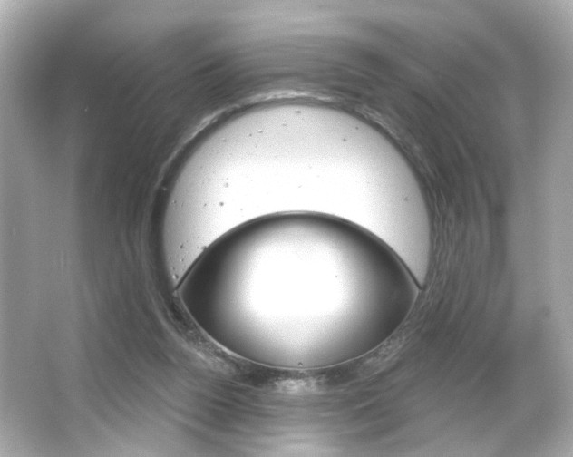 X0000066490160200603170933