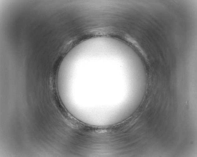 X0000066490161200603170933