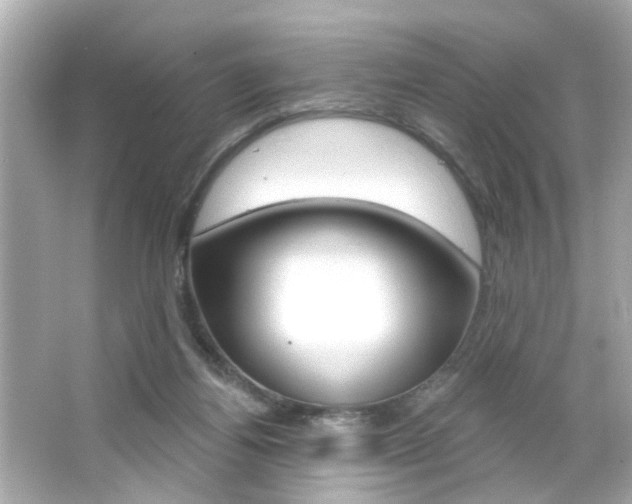 X0000066490164200603170933