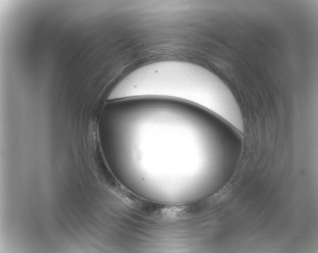 X0000066490172200603170933