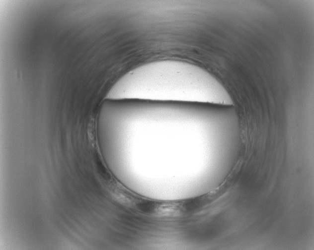 X0000066490175200603170933