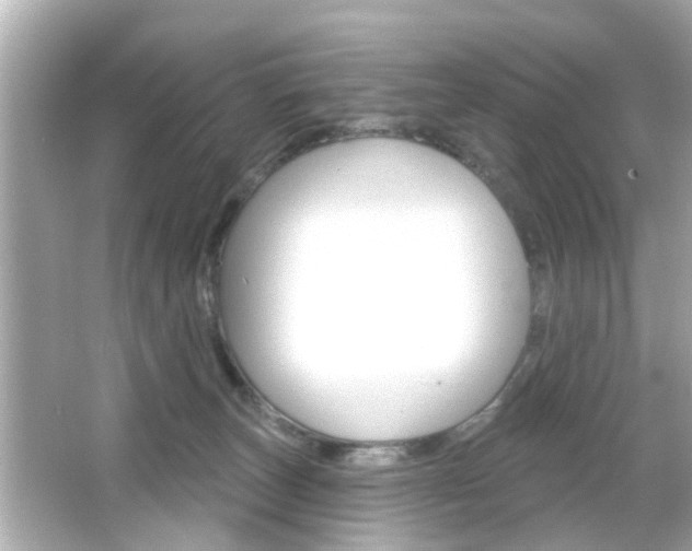 X0000066490179200603170933