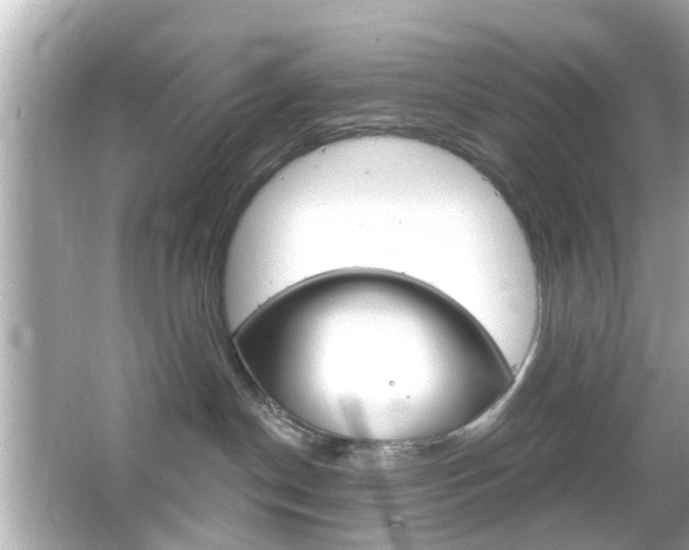 X0000066490190200603170933