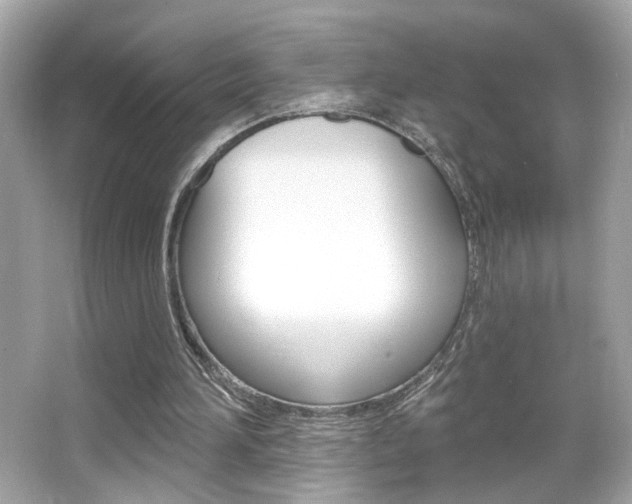 X0000066490196200603170933