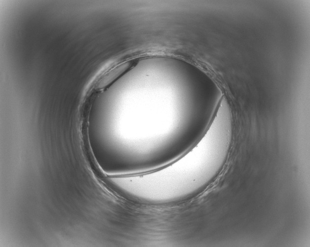 X0000066490197200603170933