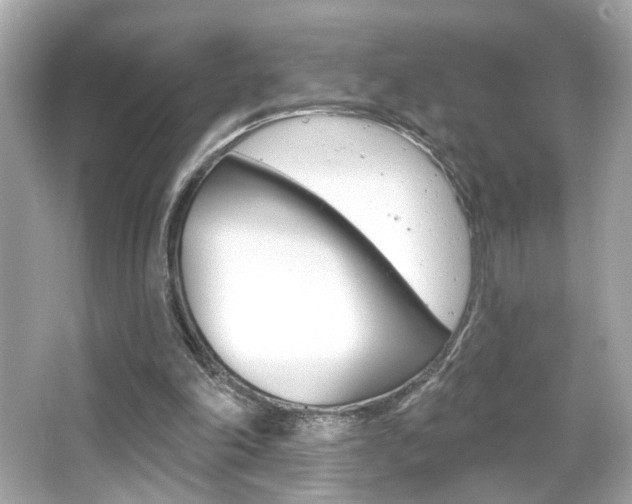 X0000066490198200603170933