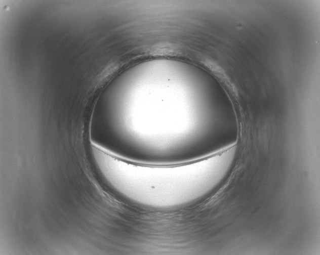 X0000066490201200603170932