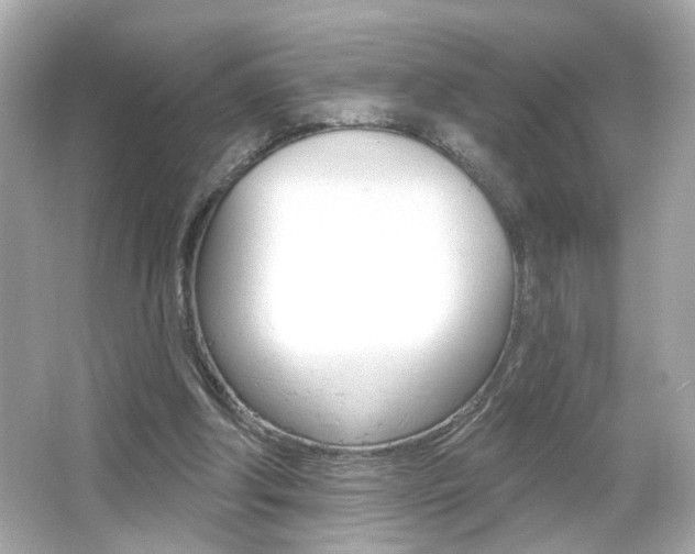 X0000066490202200603170932