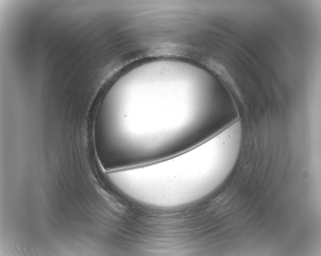X0000066490204200603170932