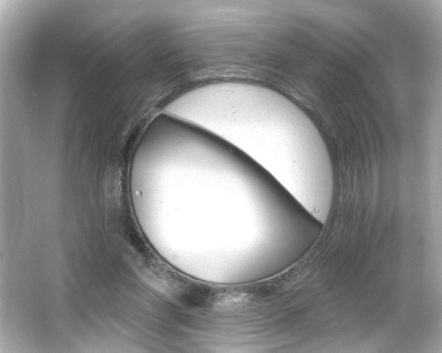 X0000066490206200603170932