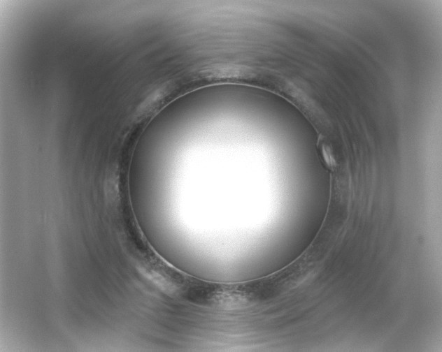 X0000066490207200603170932