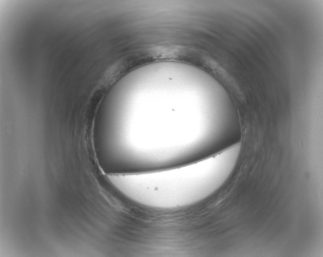 X0000066490209200603170932