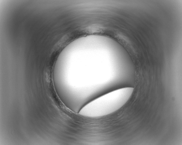 X0000066490210200603170932
