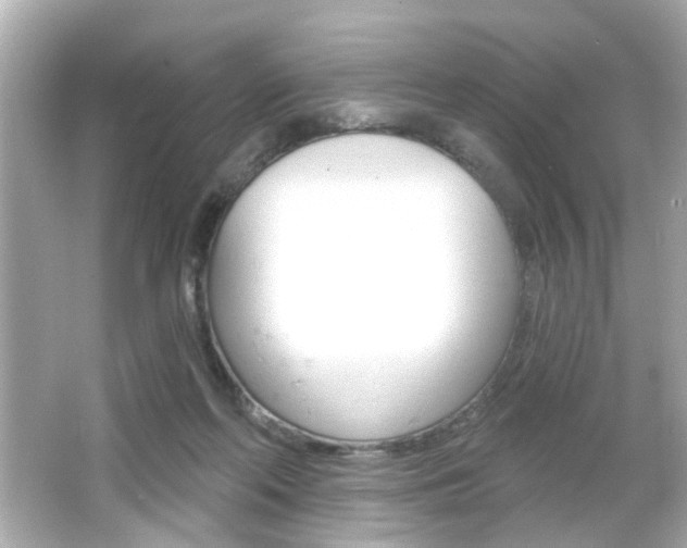 X0000066490214200603170932