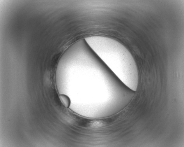 X0000066490218200603170932