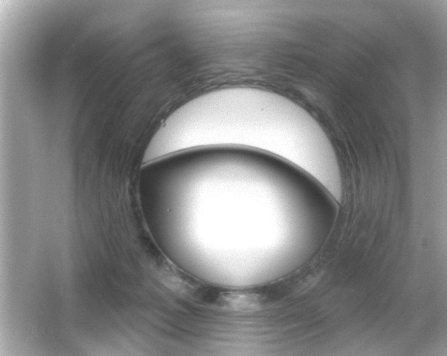 X0000066490221200603170932
