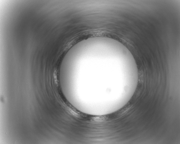 X0000066490238200603170932