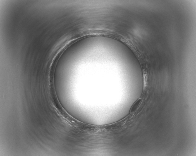 X0000066490243200603170931
