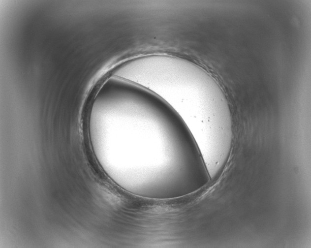 X0000066490246200603170931