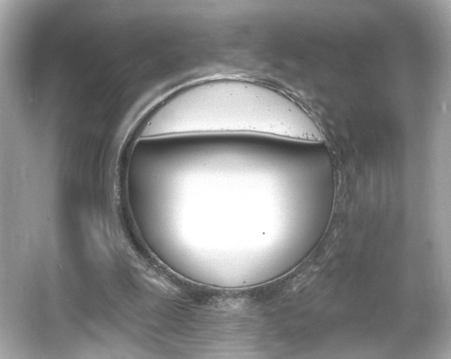 X0000066490247200603170931