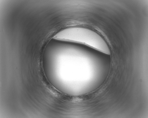 X0000066490257200603170931
