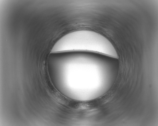 X0000066490263200603170931
