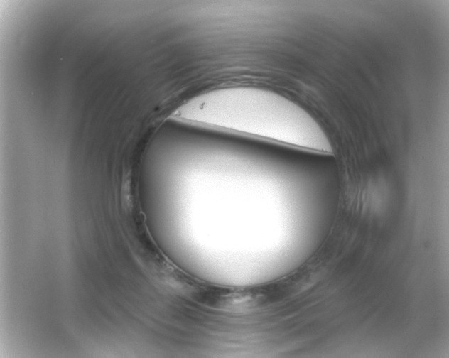 X0000066490267200603170931