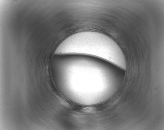 X0000066490269200603170931