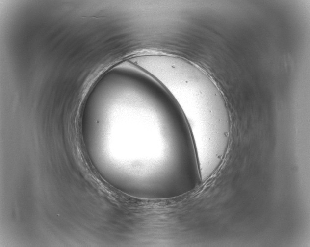 X0000066490289200603170931