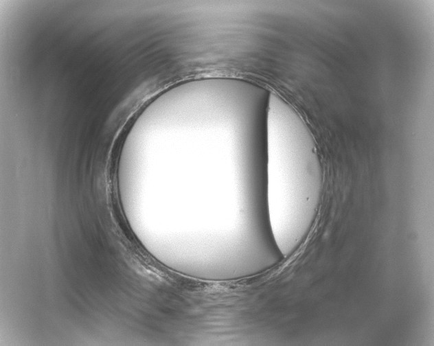 X0000066490290200603170931