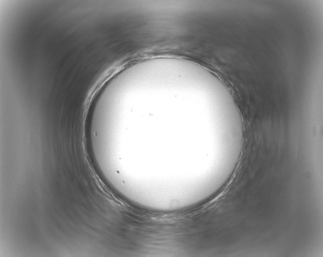 X0000066490293200603170931