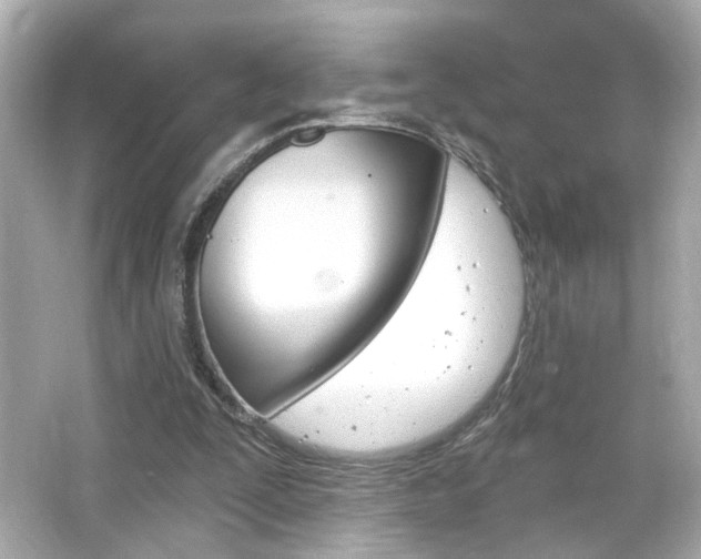 X0000066490295200603170931