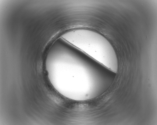 X0000066490304200603170931