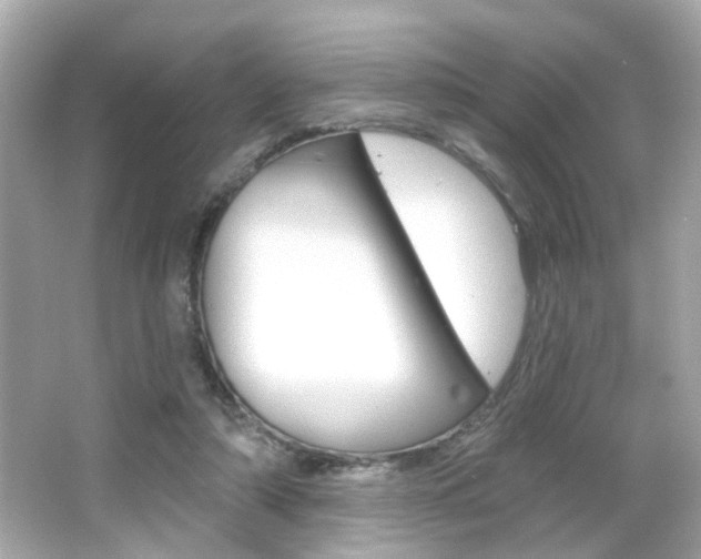 X0000066490306200603170931