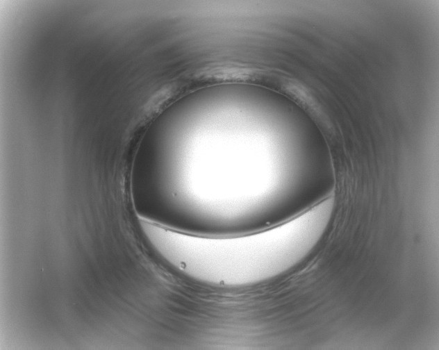X0000066490309200603170931