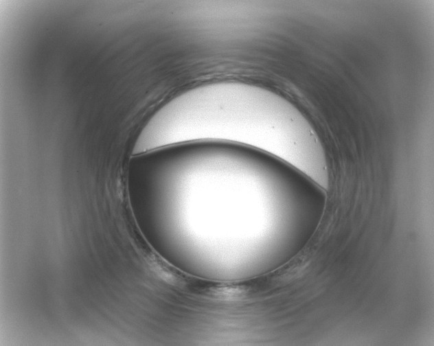 X0000066490313200603170931