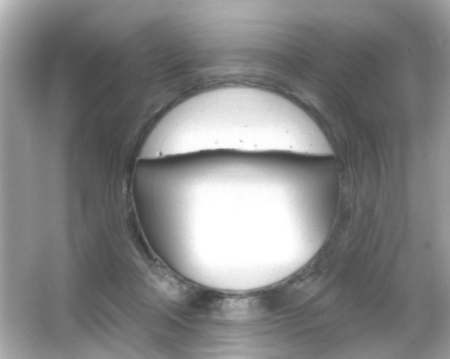 X0000066490314200603170931