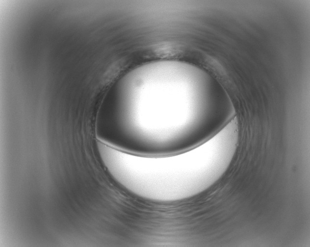 X0000066490317200603170931