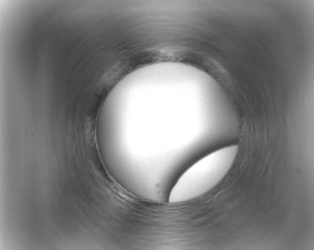 X0000066490318200603170931
